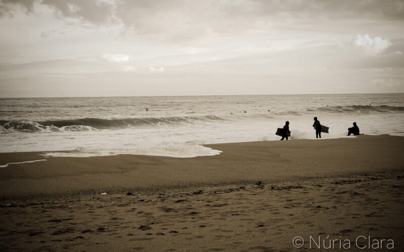 DSC_9587x-2